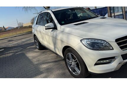 Mercedes-Benz ML 350 Gebrauchtwagen
