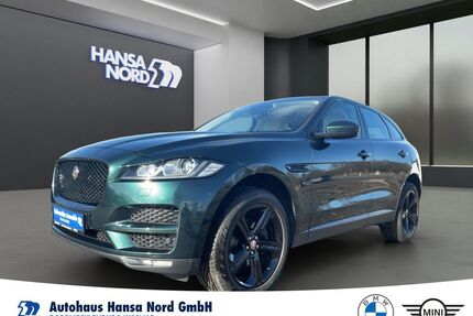Jaguar F-Pace Gebrauchtwagen