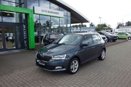 Skoda Fabia Gebrauchtwagen