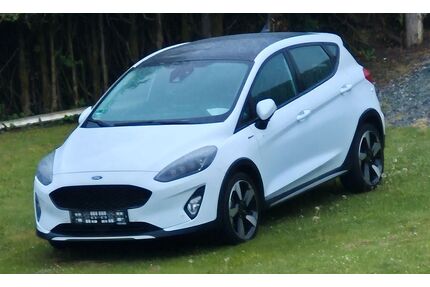 Ford Fiesta Gebrauchtwagen