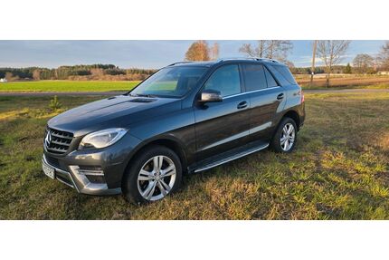 Mercedes-Benz ML 350 Gebrauchtwagen