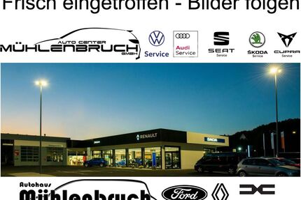 Cupra Terramar Gebrauchtwagen