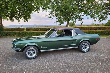 Ford Mustang Gebrauchtwagen