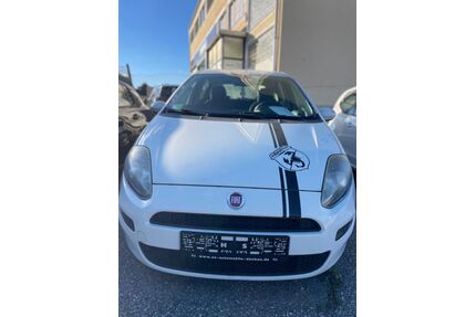 Fiat Punto Gebrauchtwagen