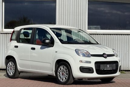 Fiat Panda Gebrauchtwagen