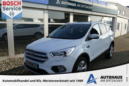 Ford Kuga Gebrauchtwagen