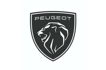 Peugeot Boxer Gebrauchtwagen