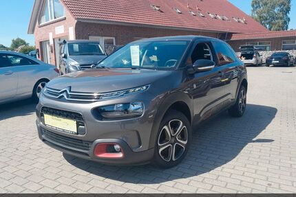 Citroen C4 Cactus Gebrauchtwagen