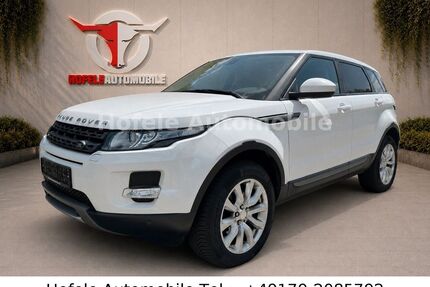 Land Rover Range Rover Evoque Gebrauchtwagen