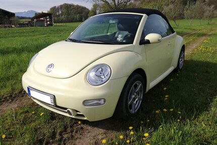 VW New Beetle Gebrauchtwagen