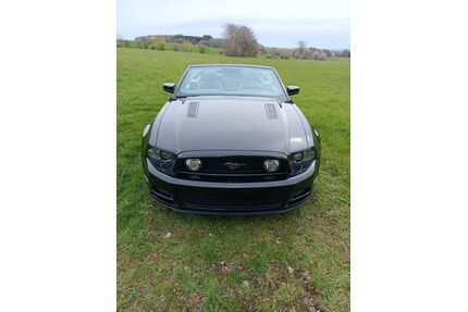 Ford Mustang Gebrauchtwagen
