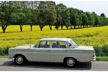 Mercedes-Benz 220 Gebrauchtwagen