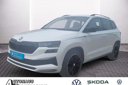 Skoda Karoq Gebrauchtwagen