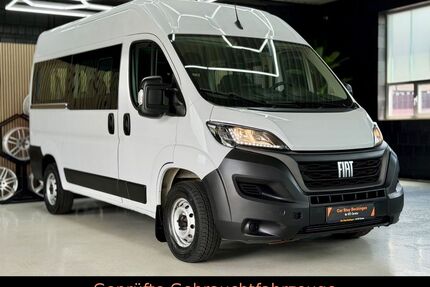 Fiat Ducato Gebrauchtwagen