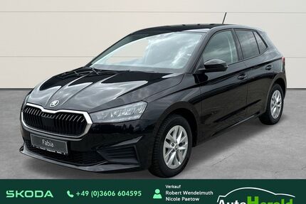 Skoda Fabia Gebrauchtwagen