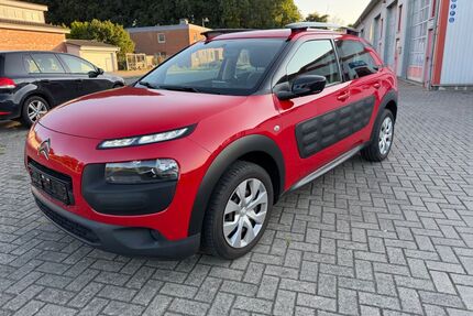 Citroen C4 Cactus Gebrauchtwagen