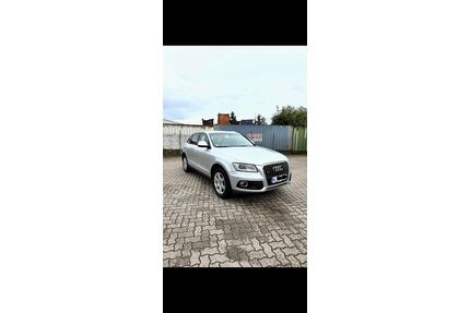 Audi Q5 Gebrauchtwagen