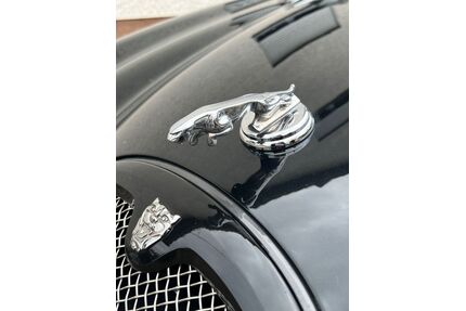 Jaguar S-Type Gebrauchtwagen