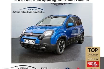 Fiat Panda Gebrauchtwagen