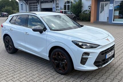 Cupra Terramar Gebrauchtwagen