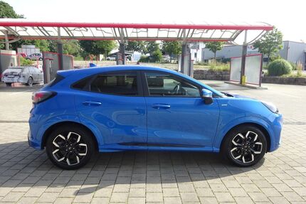 Ford Puma Gebrauchtwagen