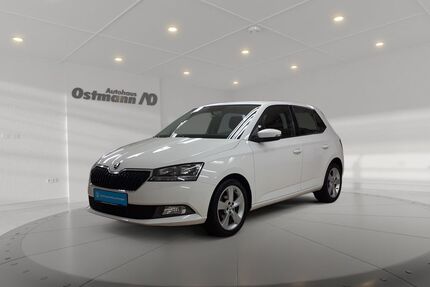 Skoda Fabia Gebrauchtwagen