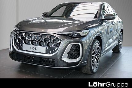 Audi SQ5 Gebrauchtwagen