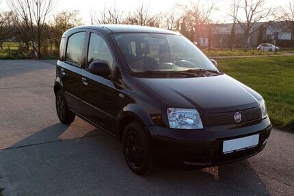 Fiat Panda Gebrauchtwagen