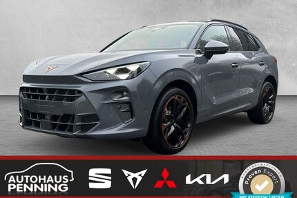 Cupra Terramar Gebrauchtwagen