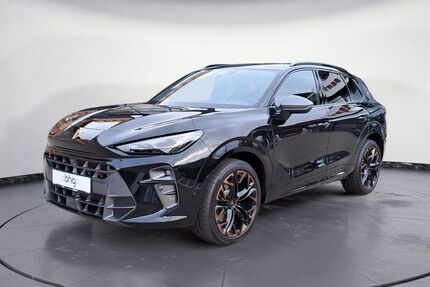 Cupra Terramar Gebrauchtwagen