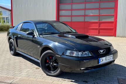 Ford Mustang Gebrauchtwagen