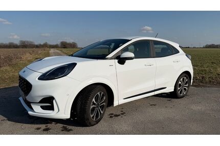 Ford Puma Gebrauchtwagen