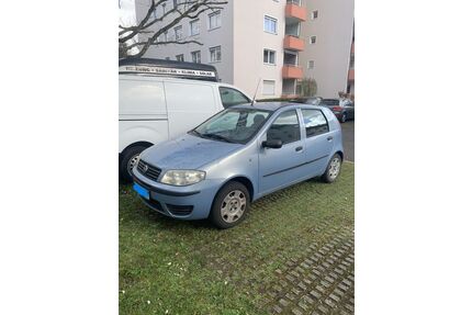 Fiat Punto Gebrauchtwagen