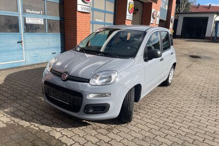 Fiat Panda Gebrauchtwagen