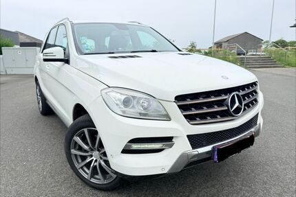 Mercedes-Benz ML 250 Gebrauchtwagen