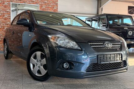 Kia ceed / Ceed Gebrauchtwagen