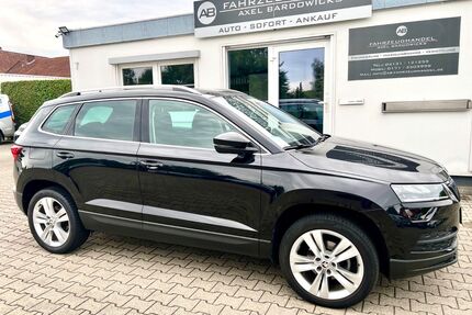 Skoda Karoq Gebrauchtwagen