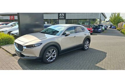 Mazda CX-30 Gebrauchtwagen