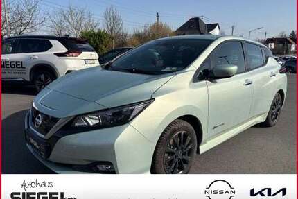 Nissan Leaf Gebrauchtwagen