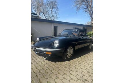 Alfa Romeo Spider Gebrauchtwagen