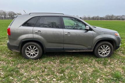 Kia Sorento Gebrauchtwagen