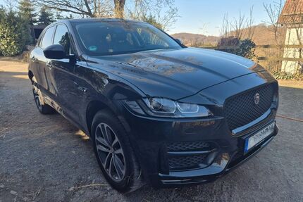Jaguar F-Pace Gebrauchtwagen