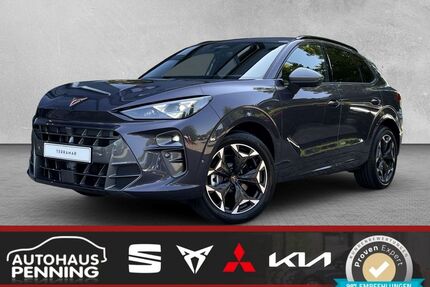 Cupra Terramar Gebrauchtwagen