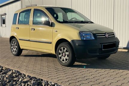 Fiat Panda Gebrauchtwagen