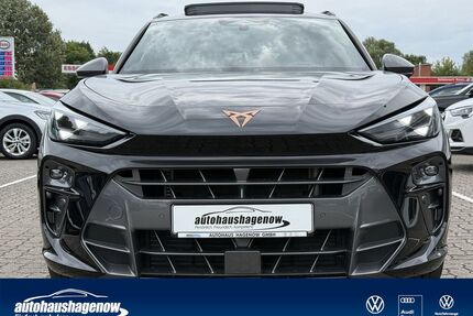 Cupra Terramar Gebrauchtwagen