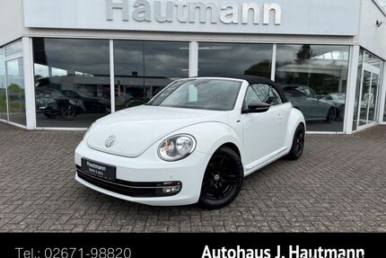 VW Beetle Gebrauchtwagen