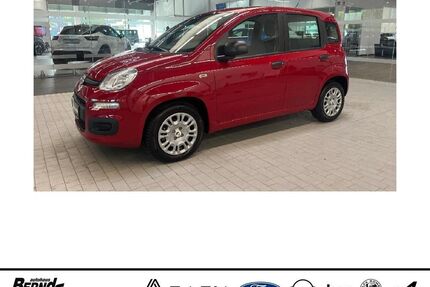Fiat Panda Gebrauchtwagen