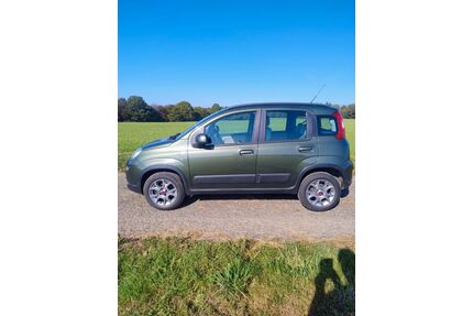 Fiat New Panda Gebrauchtwagen