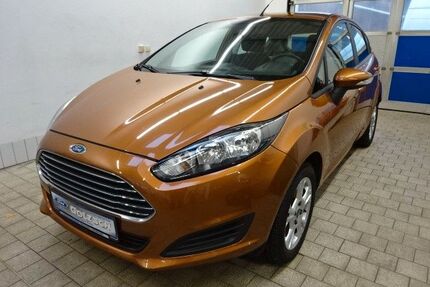 Ford Fiesta Gebrauchtwagen