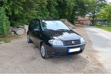 Fiat Punto Gebrauchtwagen